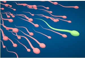aumentar-la-fertilidad-infertilymadre